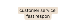 customer service fast respon